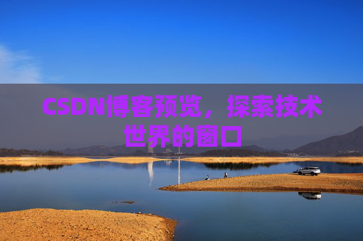 CSDN博客预览，探索技术世界的窗口